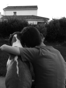 pexels-denis-larzul-299517315-14212148